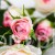 TERJAN_2476 (51).JPG
