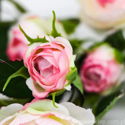 TERJAN_2476 (51).JPG