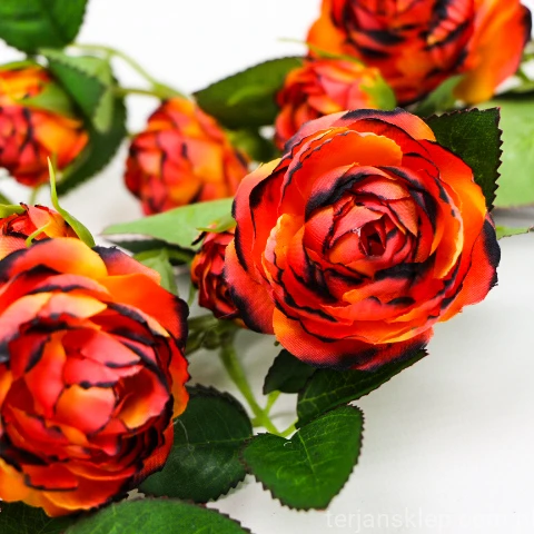 TERJAN_2476 (53).JPG
