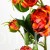 TERJAN_2476 (55).JPG