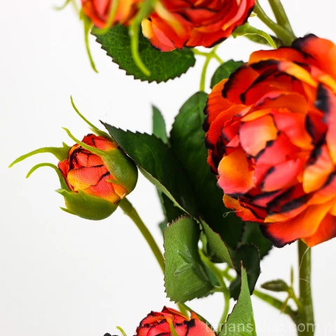 TERJAN_2476 (55).JPG