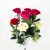 TERJAN_2566 (24).JPG