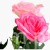 TERJAN_2566 (29).jpg
