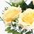 TERJAN_2566 (33).jpg