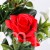 TERJAN_2566 (36).JPG