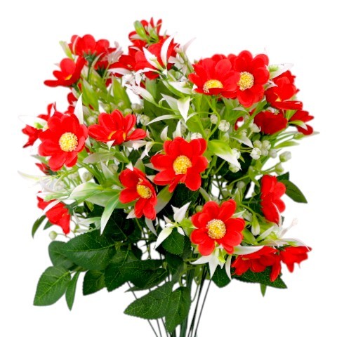 TERJAN_2566 (38).jpg