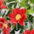TERJAN_2566 (40).JPG