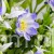 TERJAN_2566 (44).JPG