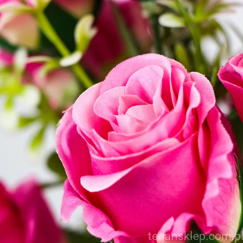 TERJAN_2566 (110).JPG
