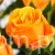TERJAN_2566 (114).JPG