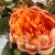TERJAN_2566 (137).JPG
