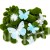 terjan_2786 (32).JPG