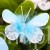 terjan_2786 (33).JPG