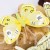 terjan_2786 (45).JPG