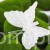 terjan_2786 (53).JPG