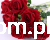 3236.JPG.webp
