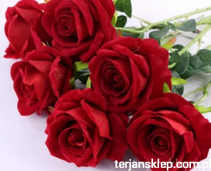 3236.JPG.webp