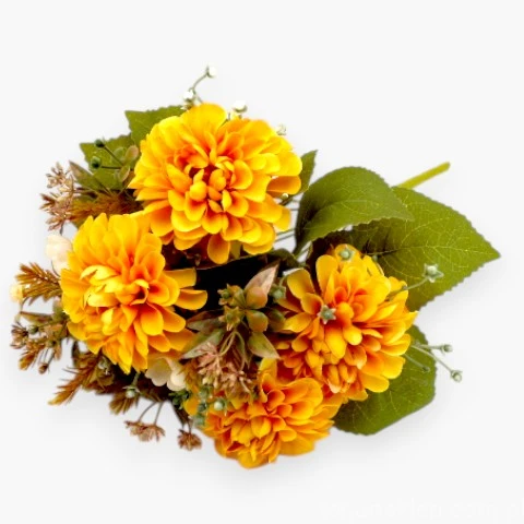 TERJAN_2970  (103).jpg