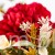 TERJAN_2970  (119).JPG