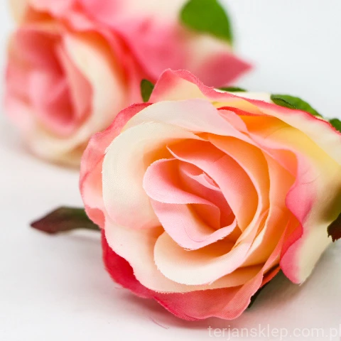 TERJAN_2970  (18).JPG