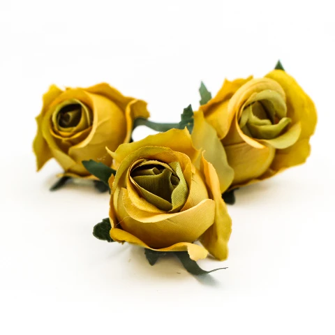 TERJAN_2970  (40).JPG