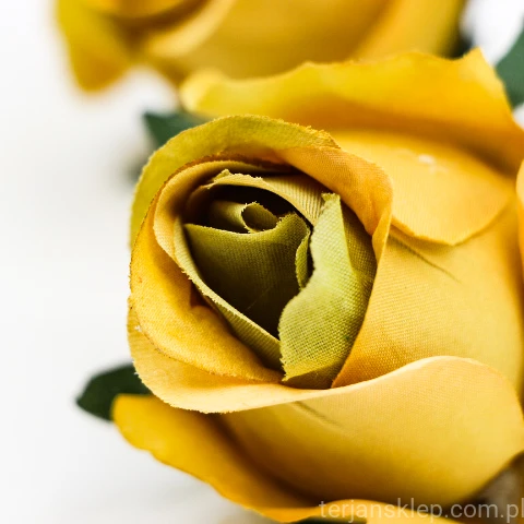 TERJAN_2970  (41).JPG