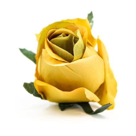 TERJAN_2970  (42).JPG