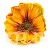 terjan_3563 (25).JPG