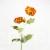 terjan_3563 (31).JPG