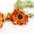 terjan_3563 (33).JPG