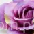 terjan_3563 (68).JPG