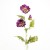 terjan_3563 (28).JPG