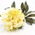 terjan_3563 (44).JPG