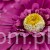 IMG_3683 (112).JPG