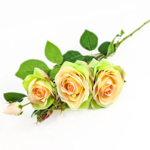 TERJAN_3958 (25).jpg