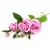TERJAN_3958 (28).jpg