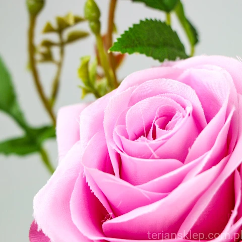 TERJAN_3958 (30).jpg