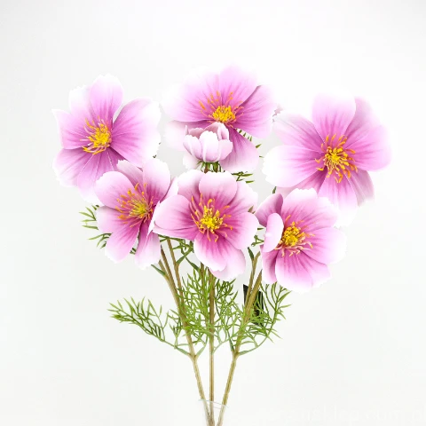 TERJAN_3958 (37).jpg