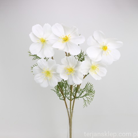 TERJAN_3958 (42).jpg