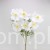 TERJAN_3958 (42).jpg