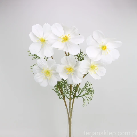 TERJAN_3958 (42).jpg