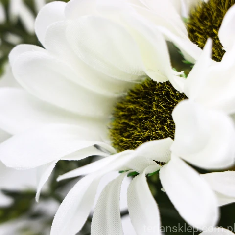 TERJAN_3958 (67).jpg