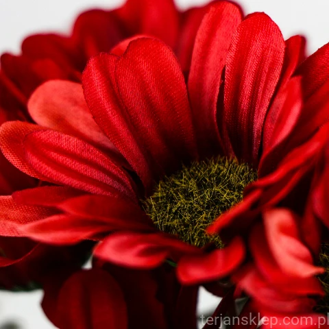 TERJAN_3958 (70).jpg