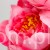 TERJAN_3958 (76).jpg