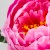 TERJAN_3958 (82).jpg