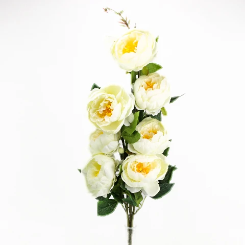 TERJAN_3958 (84).jpg