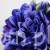 TERJAN_3958 (95).jpg