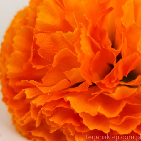 TERJAN_3958 (99).jpg