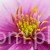 TERJAN_3958 (114).JPG