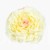 TERJAN_3958 (129).jpg
